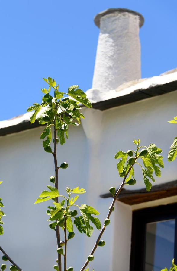 Appartamento Casa Cecilia Bubión Esterno foto
